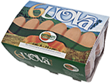 Uova Maxi – oltre 73g